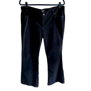 Talbot's Black Velvet Bootcut Pants. Cotton/Elastrell  Blend. Size 16 P